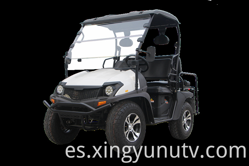 2021 Venta caliente de alta calidad 5KW Electric UTV EEC Electric Cart